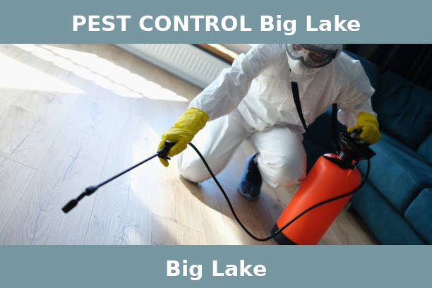 PEST CONTROL Big Lake